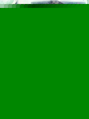 ֱ